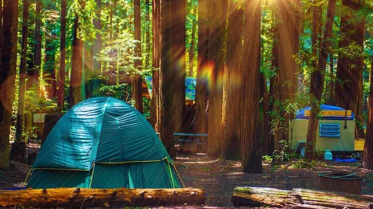 Discover the Top Camping Spots in the United States